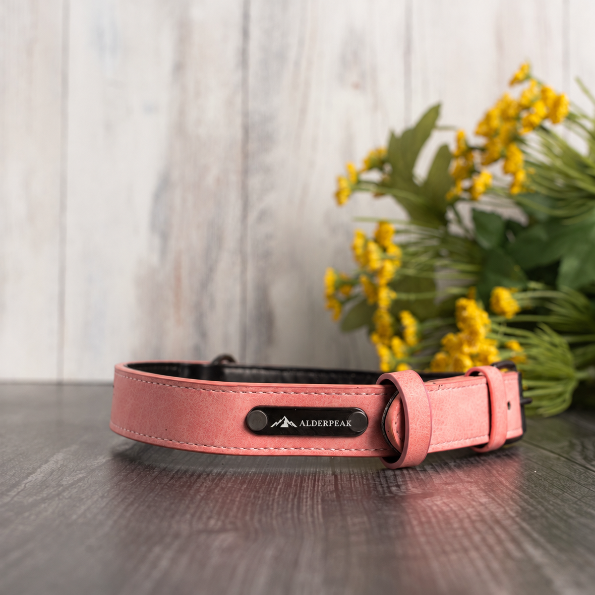 Vegan Leather Dog Collar | Personalized Engraved Pet Collar