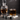 Whiskey Glass