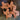 Texas Longhorns Leather Texas Coasters (4)