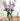 Zeta Tau Alpha (ΖΤΑ) Glass Flower Vase
