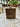 Custom Fraternity Wooden Flasks| Greek Life Flask| Fraternity Gifts| College Gift| Frat Formal Must Have| Officially Licensed Accessories