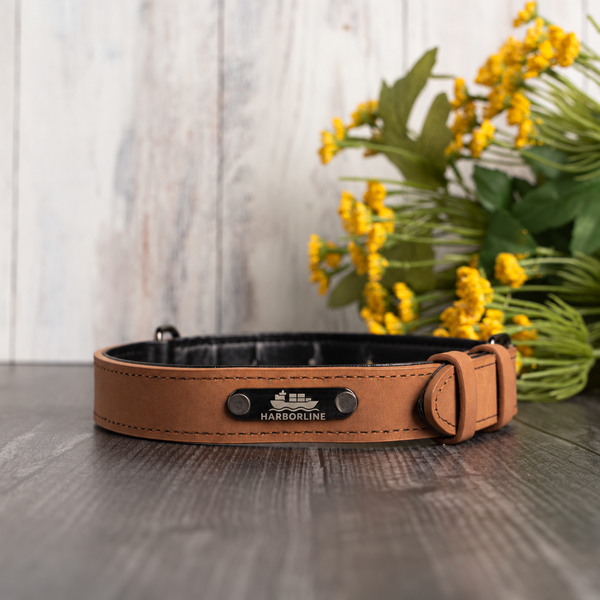 Vegan Leather Dog Collar | Personalized Engraved Pet Collar